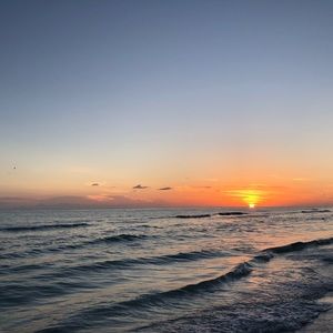 Meet your Posher, Claire